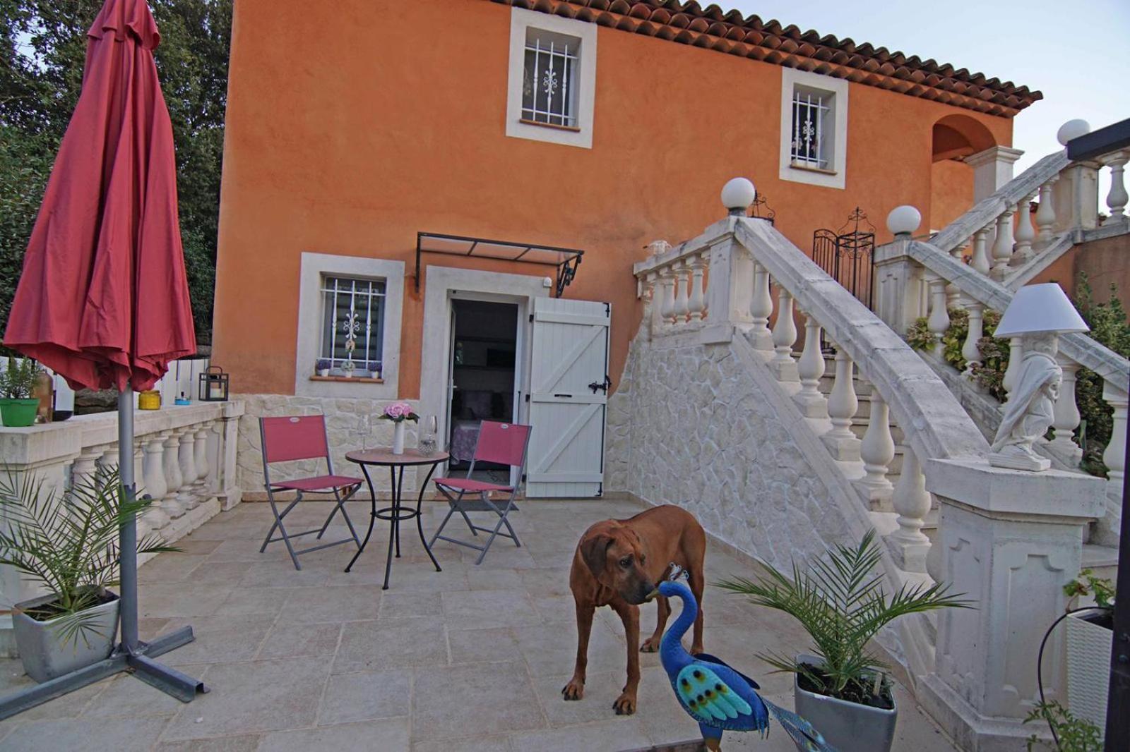 Chez Amali - Stielvolle Ferienwohnung In Der Provence Mit Terrasse 布里尼奥勒 外观 照片