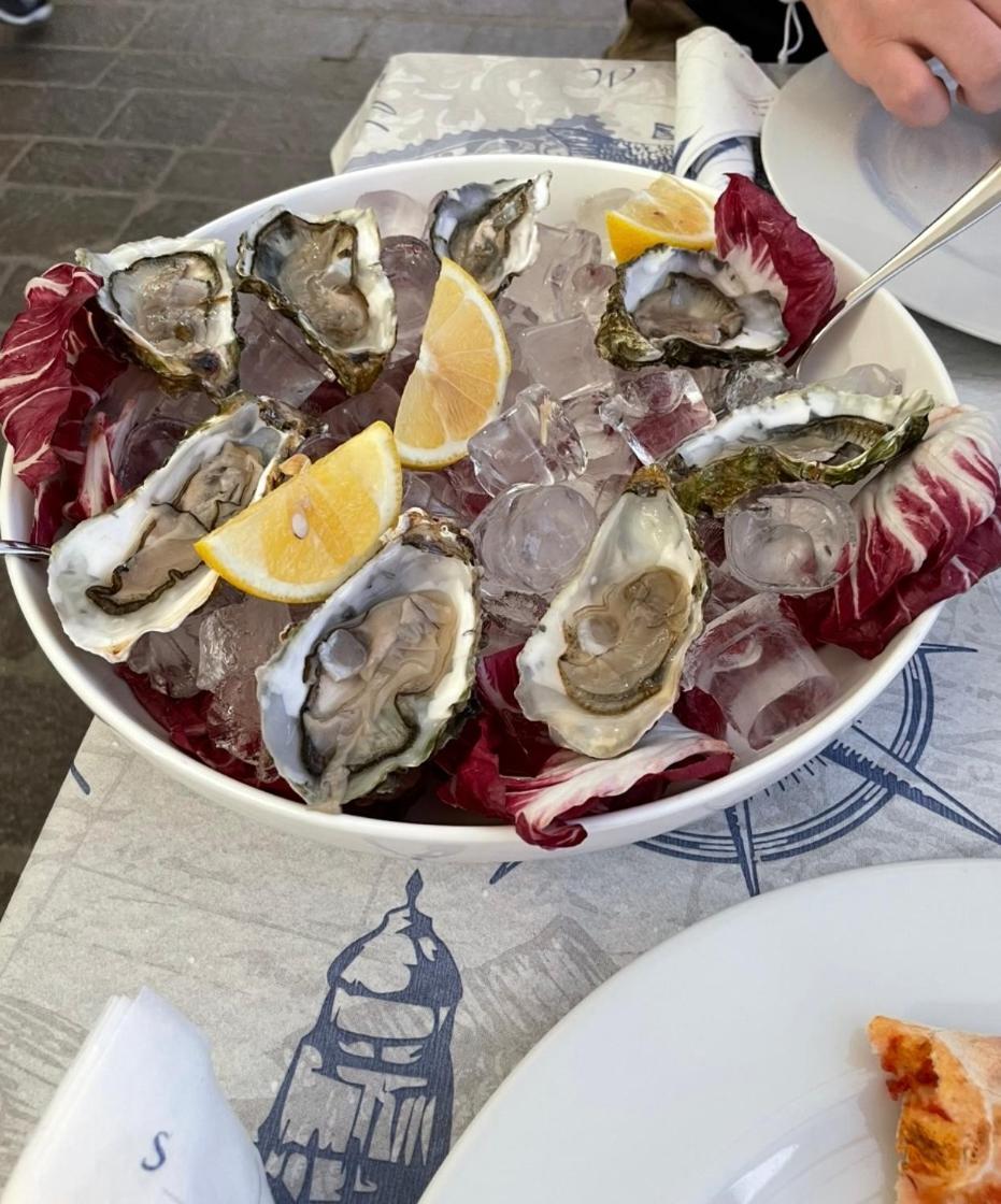 Chez Amali - Stielvolle Ferienwohnung In Der Provence Mit Terrasse 布里尼奥勒 外观 照片